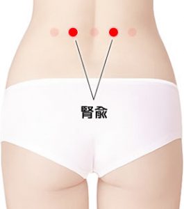 腰のツボ[腎兪(じんゆ)]